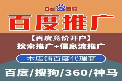 百度推广实战：案例分享与效果评估